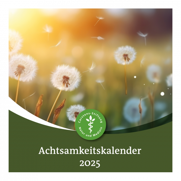 KVC Verlag – Kalender 2025